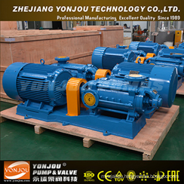 D Type 50mm-125mm Horizontal Multi-Stage Centrifugal Pump